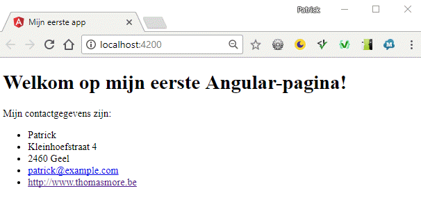 Aangepaste homepage